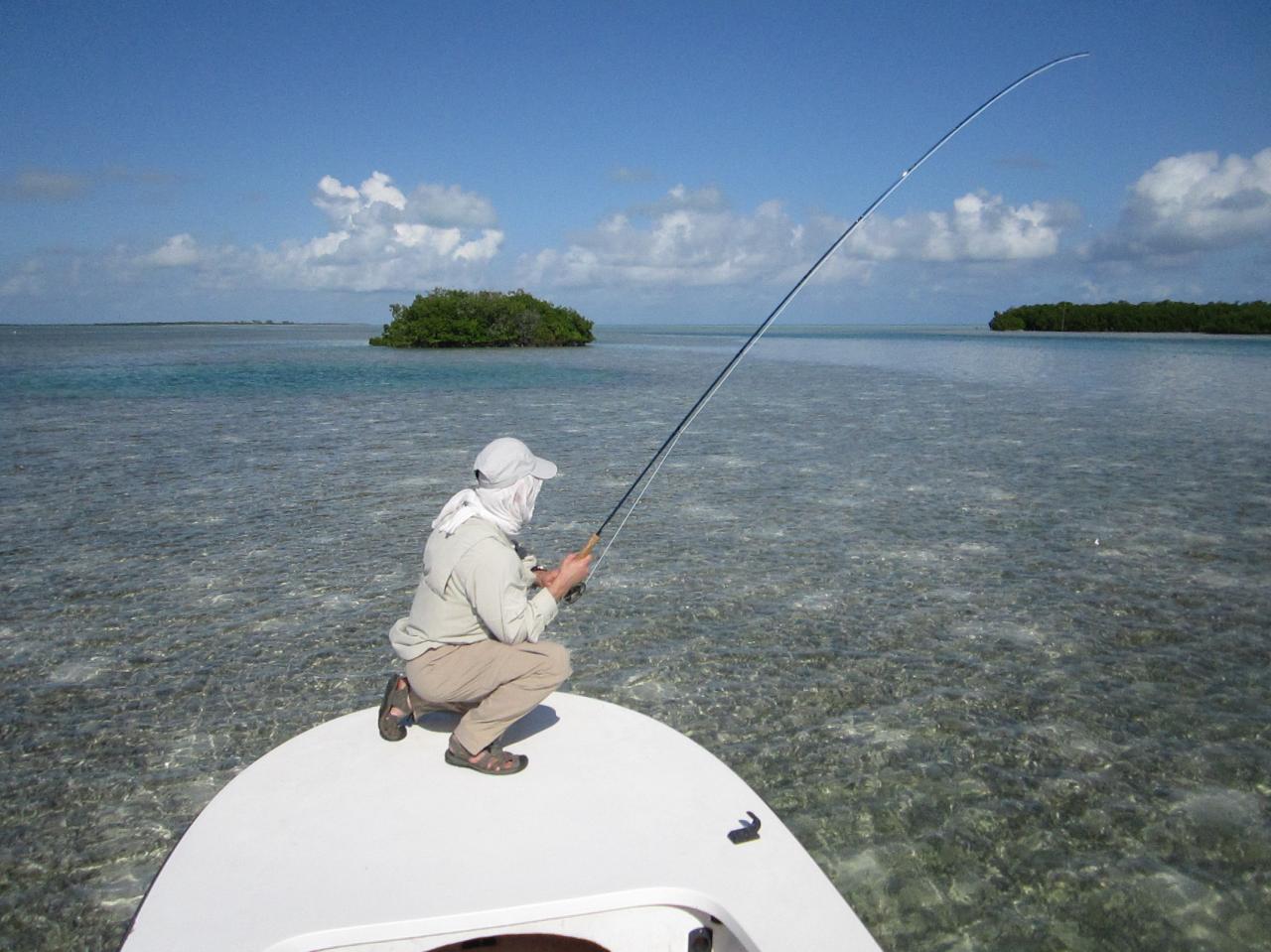 Bonefish avec Abel (1)