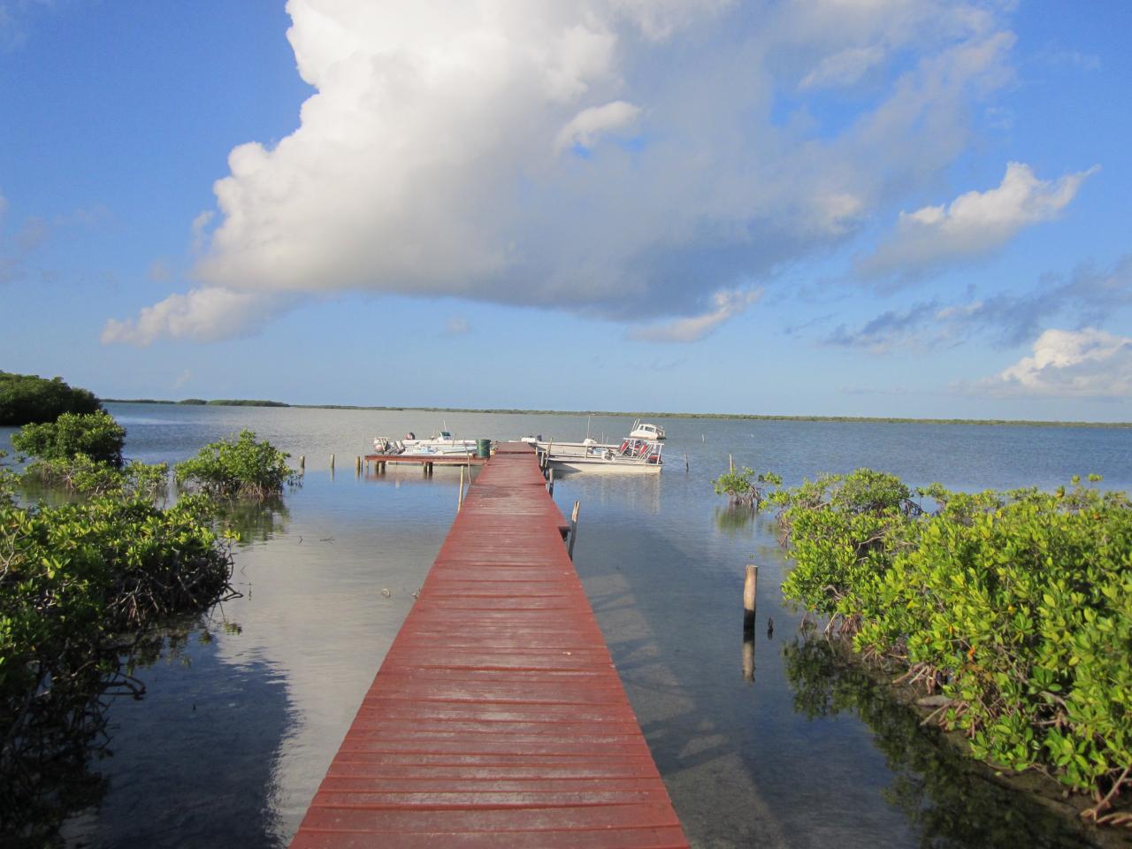 Bonefish avec Abel (15)
