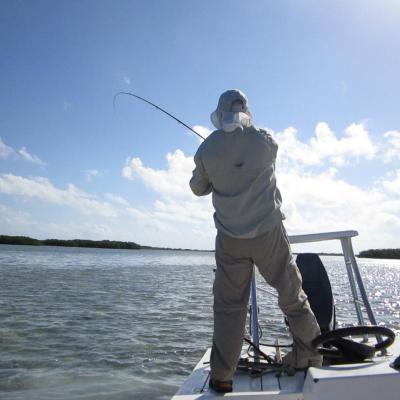 Bonefish