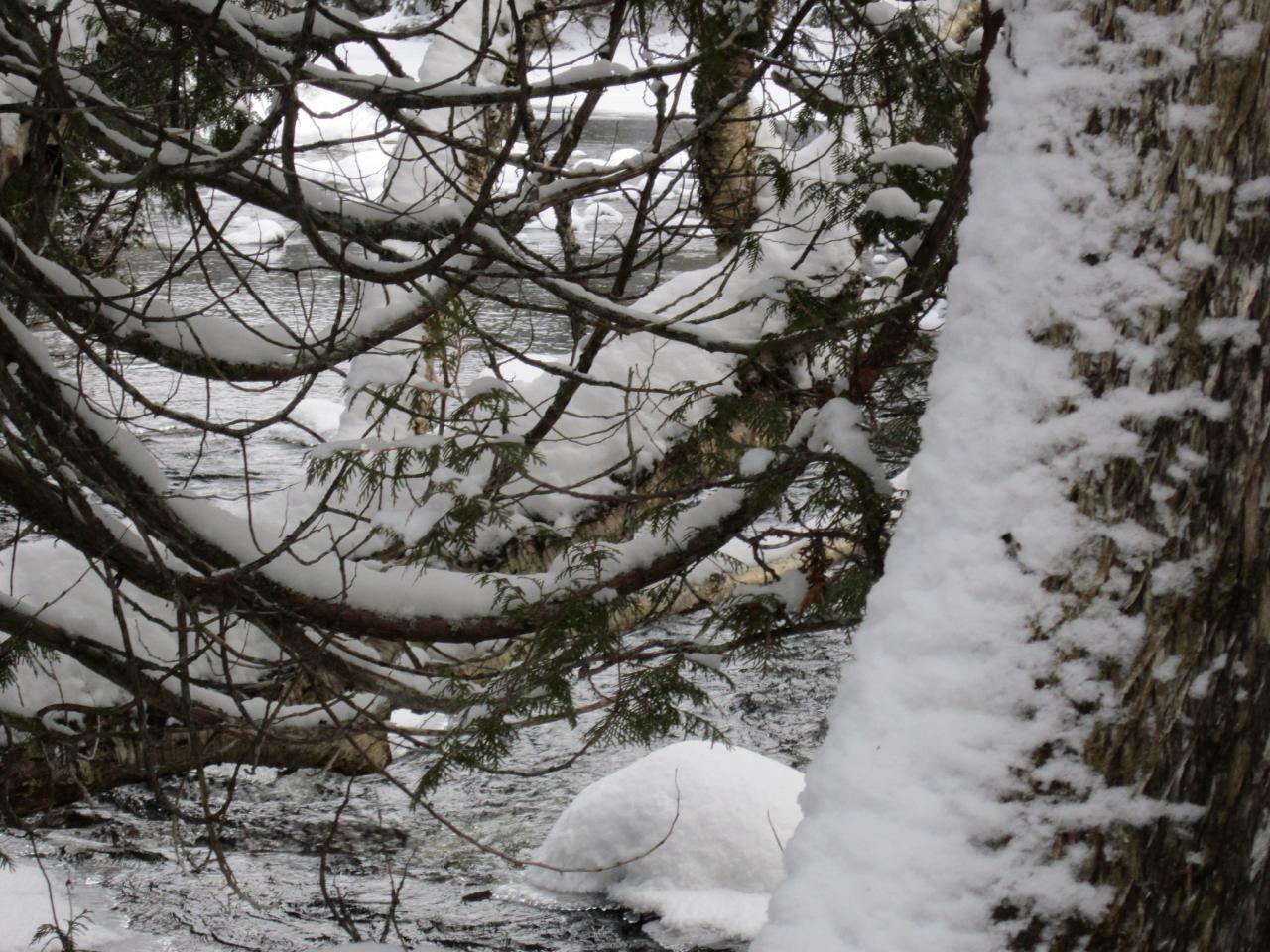 Hiver au Québec (15a)