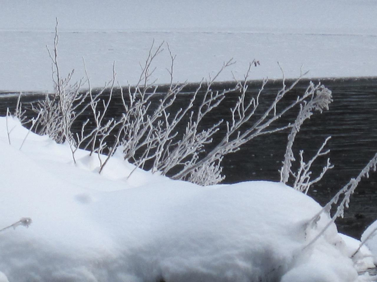 Hiver au Québec (16a)