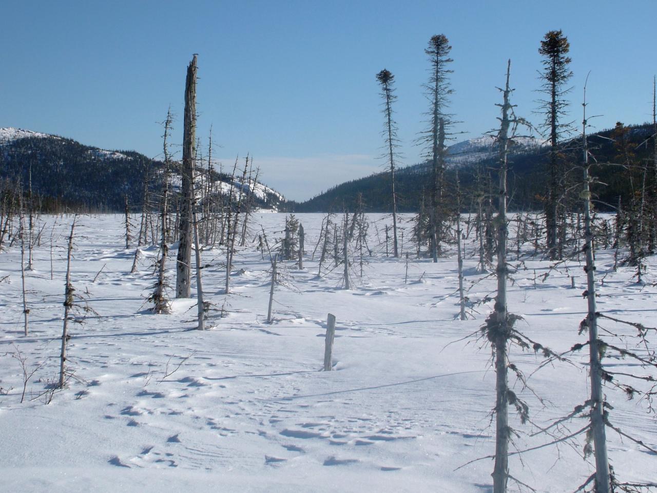 Hiver au Québec (18)
