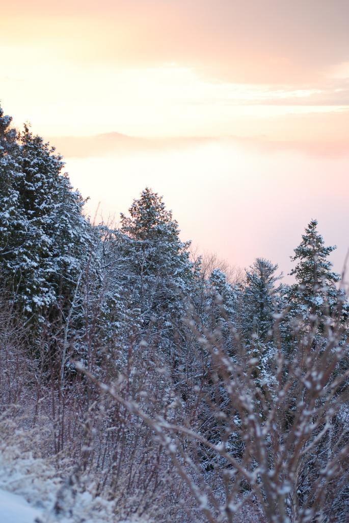 Hiver au Québec (3)