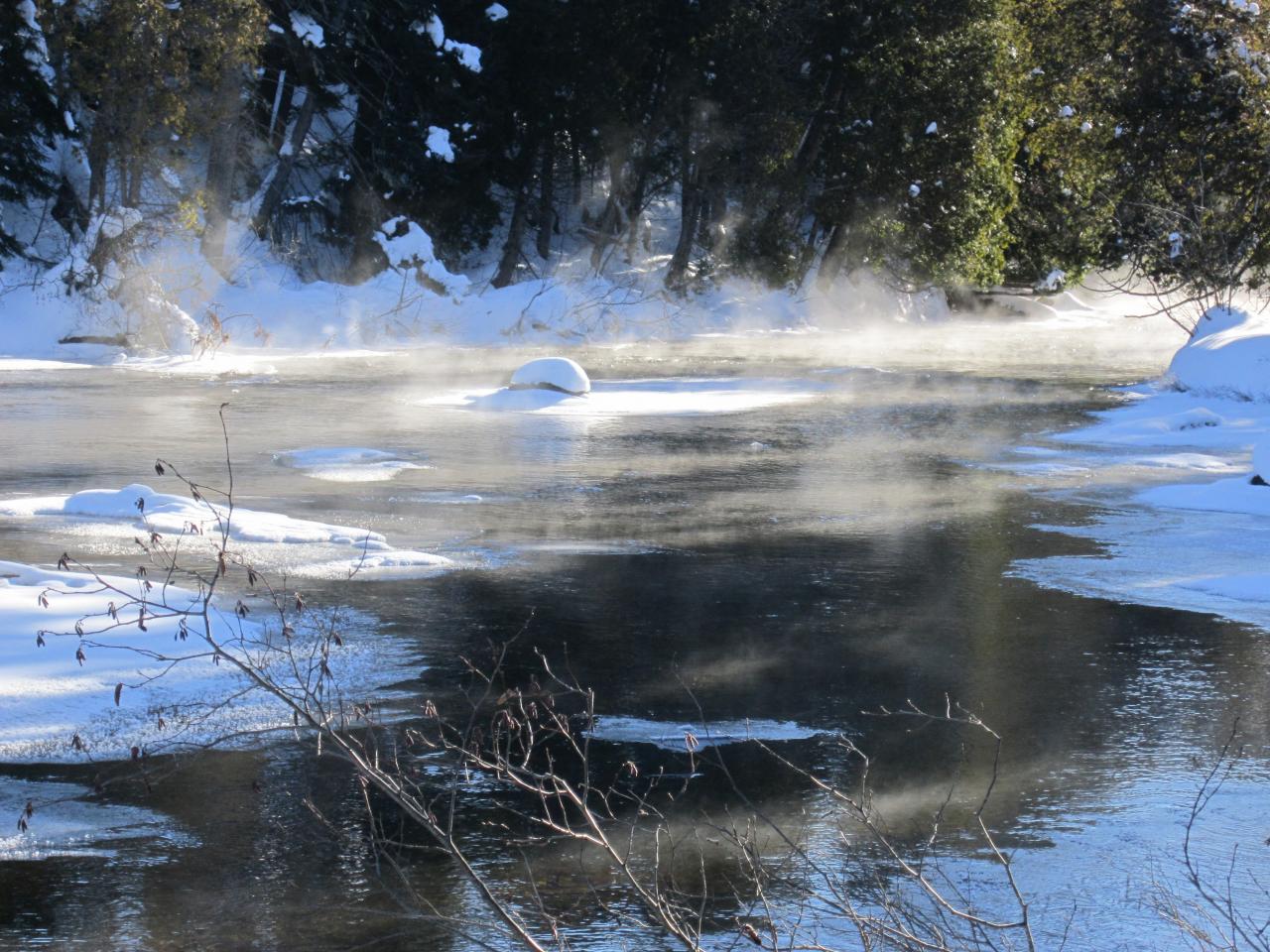 Brume d'hiver