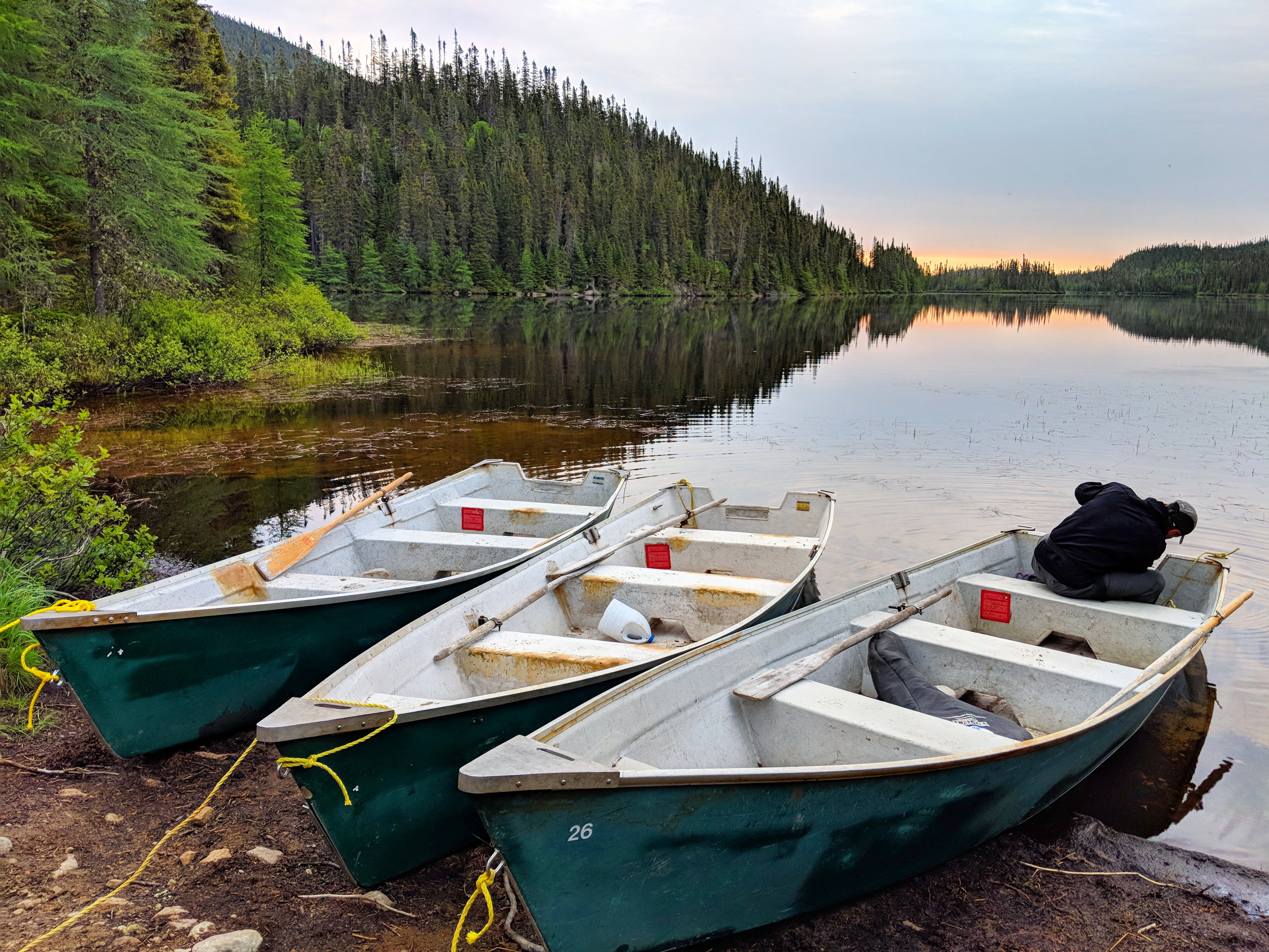 Réserve Faunique des Laurentides