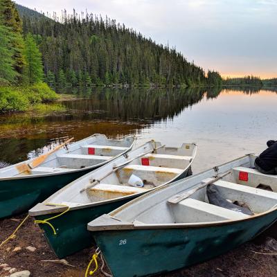 Réserve Faunique des Laurentides